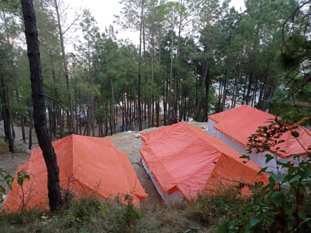 Amravati Resort Solan Exteriér fotografie